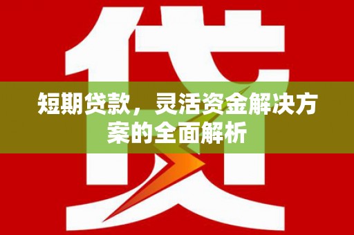 林周短期贷款，灵活资金解决方案的全面解析