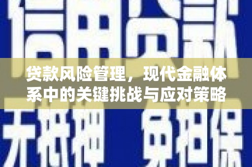 林周贷款风险管理，现代金融体系中的关键挑战与应对策略