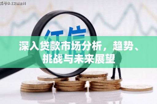 林周深入贷款市场分析，趋势、挑战与未来展望
