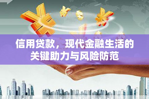 林周信用贷款，现代金融生活的关键助力与风险防范