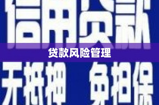 林周贷款风险管理