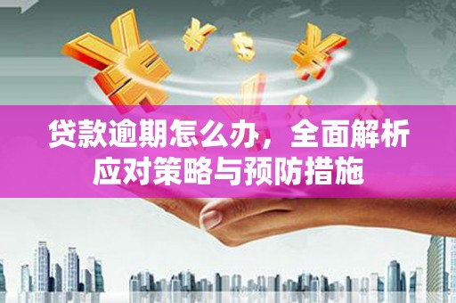 林周贷款逾期怎么办，全面解析应对策略与预防措施