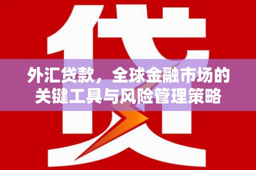 林周外汇贷款，全球金融市场的关键工具与风险管理策略