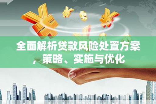 林周全面解析贷款风险处置方案，策略、实施与优化