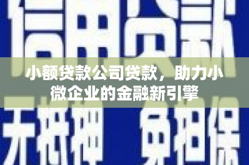 林周小额贷款公司贷款，助力小微企业的金融新引擎