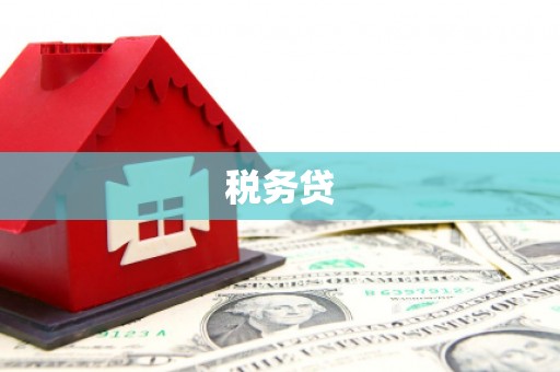林周税务贷