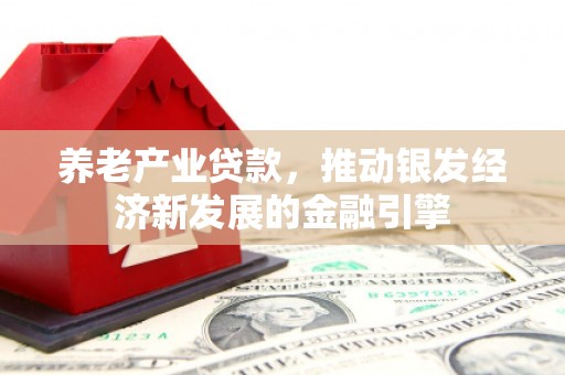 林周养老产业贷款，推动银发经济新发展的金融引擎