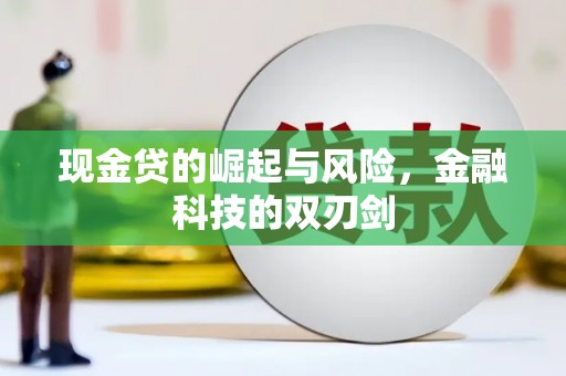 林周现金贷的崛起与风险，金融科技的双刃剑