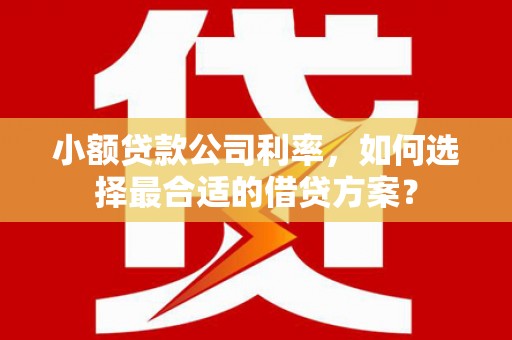 林周小额贷款公司利率，如何选择最合适的借贷方案？