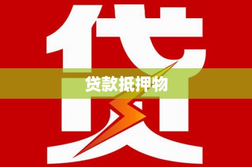 林周贷款抵押物