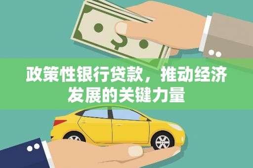 林周政策性银行贷款，推动经济发展的关键力量