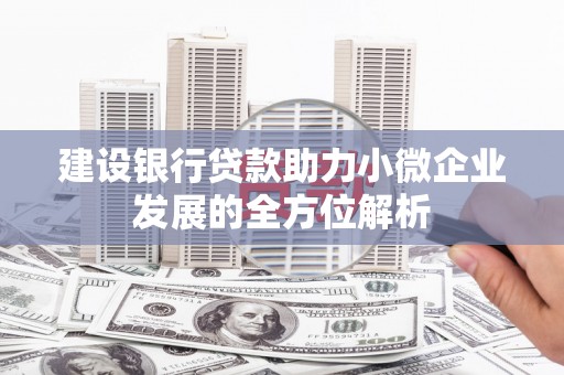 林周建设银行贷款助力小微企业发展的全方位解析
