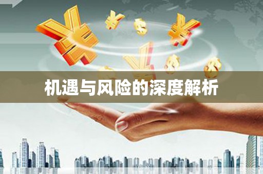 林周机遇与风险的深度解析