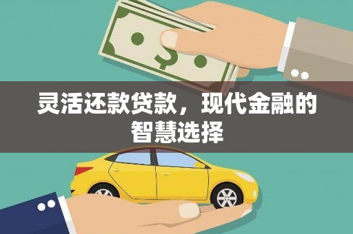 林周灵活还款贷款，现代金融的智慧选择