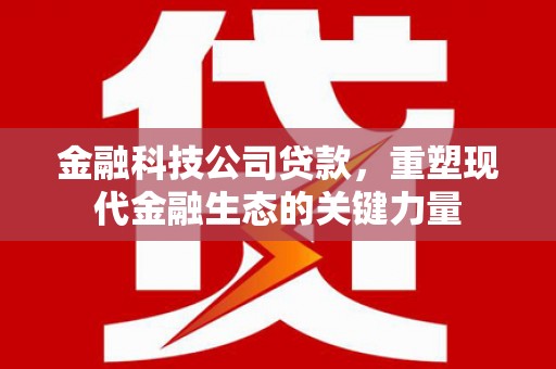 林周金融科技公司贷款，重塑现代金融生态的关键力量