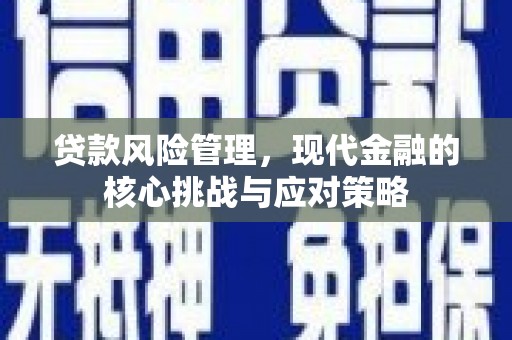 林周贷款风险管理，现代金融的核心挑战与应对策略