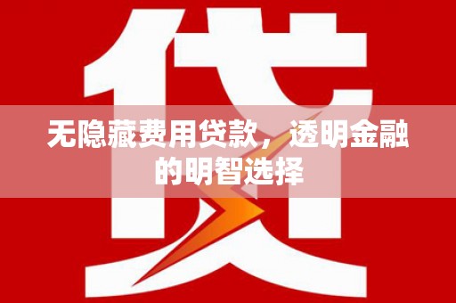 林周无隐藏费用贷款，透明金融的明智选择