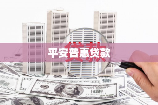 林周平安普惠贷款