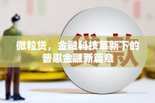 林周微粒贷，金融科技革新下的普惠金融新篇章