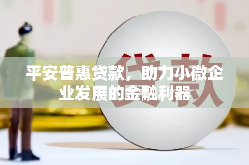 林周平安普惠贷款，助力小微企业发展的金融利器