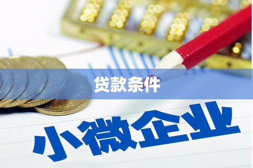 林周贷款条件