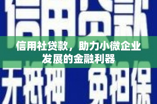林周信用社贷款，助力小微企业发展的金融利器