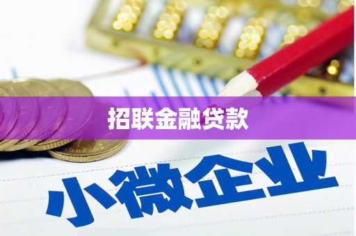 林周招联金融贷款