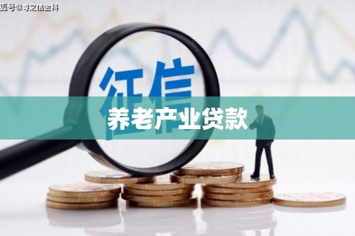 林周养老产业贷款