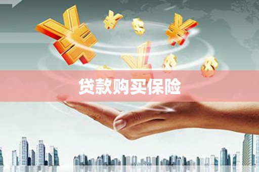 林周贷款购买保险