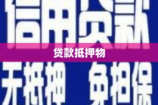林周贷款抵押物