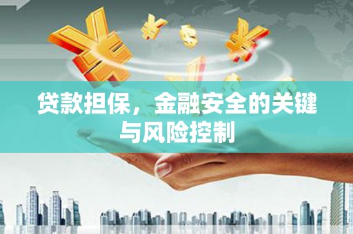 林周贷款担保，金融安全的关键与风险控制