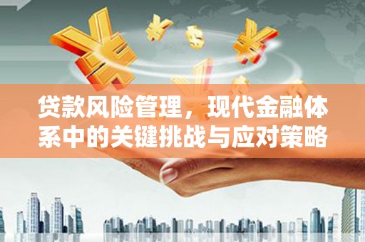 林周贷款风险管理，现代金融体系中的关键挑战与应对策略