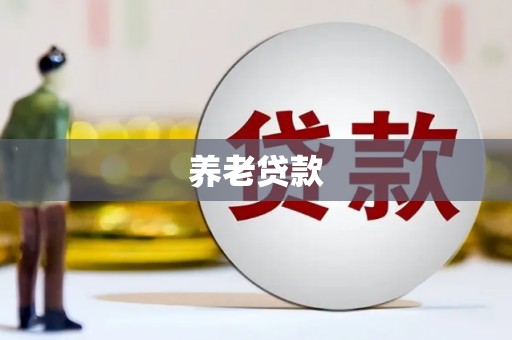 林周养老贷款