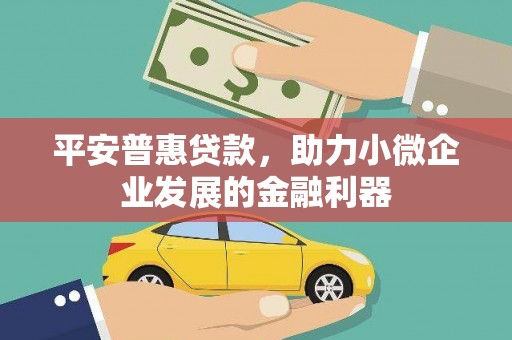 林周平安普惠贷款，助力小微企业发展的金融利器