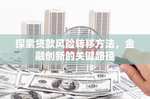 林周探索贷款风险转移方法，金融创新的关键路径