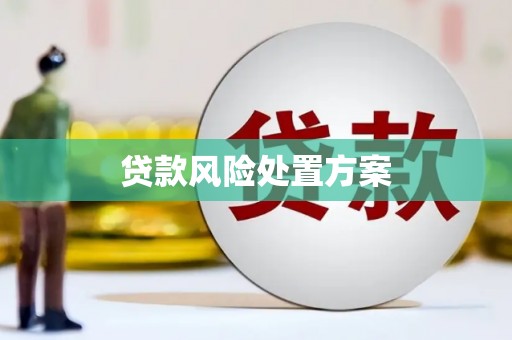 林周贷款风险处置方案