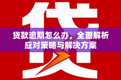 林周贷款逾期怎么办，全面解析应对策略与解决方案