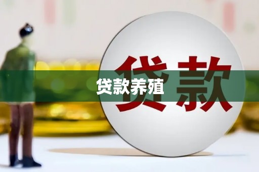 林周贷款养殖