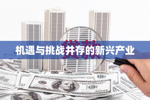 林周机遇与挑战并存的新兴产业