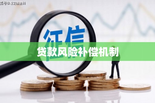 林周贷款风险补偿机制