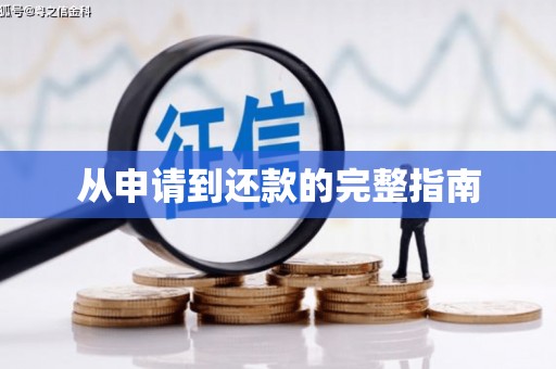 林周从申请到还款的完整指南