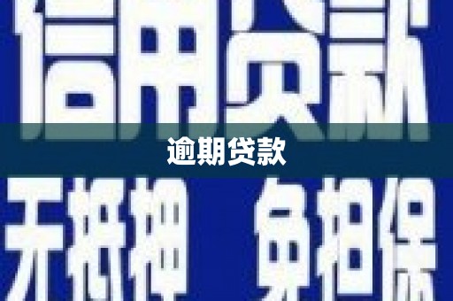 林周逾期贷款