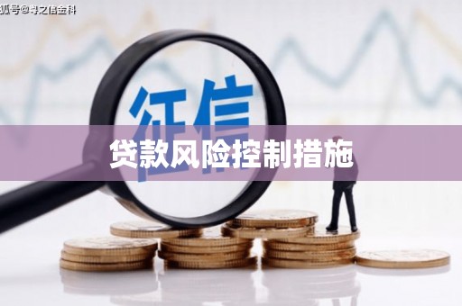 林周贷款风险控制措施