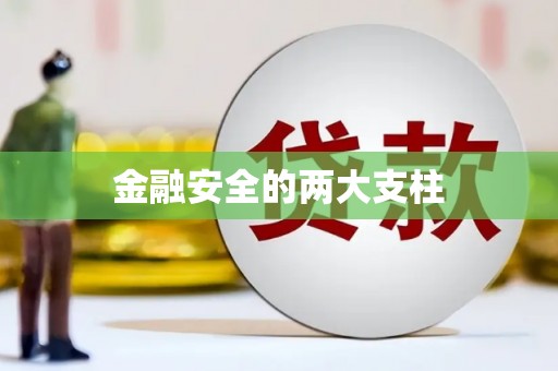 林周金融安全的两大支柱