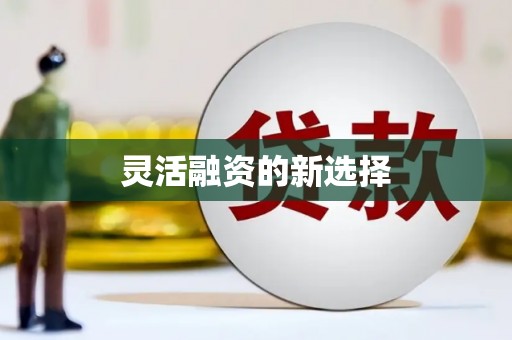 林周灵活融资的新选择
