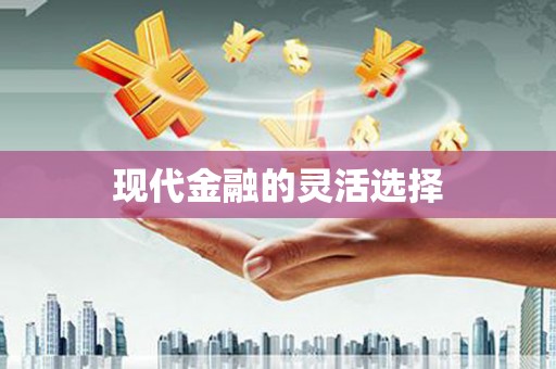 林周现代金融的灵活选择