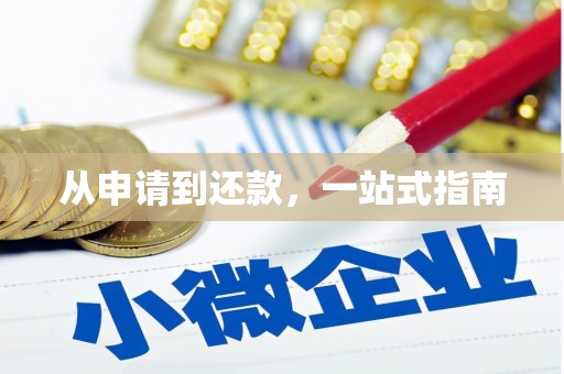 林周从申请到还款，一站式指南