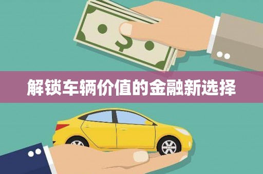 林周解锁车辆价值的金融新选择