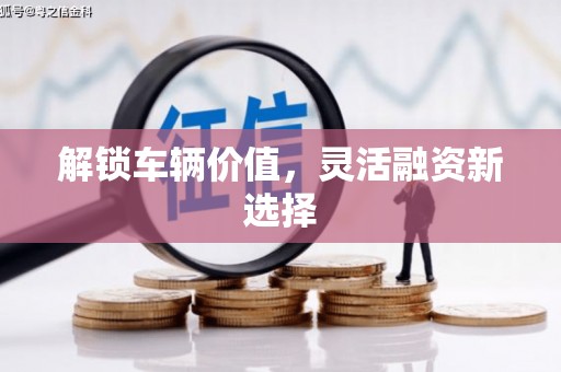 林周解锁车辆价值，灵活融资新选择