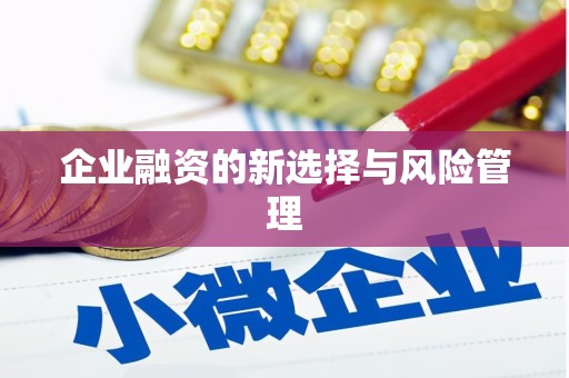 林周企业融资的新选择与风险管理